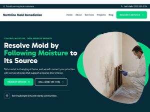 Northline Mold Remediation homepage design preview