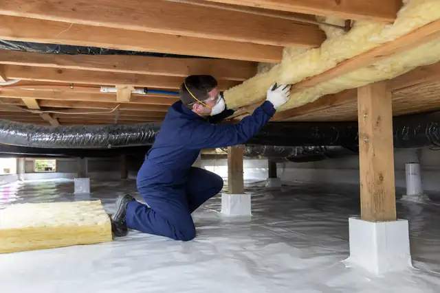 Insulation Contractor service image