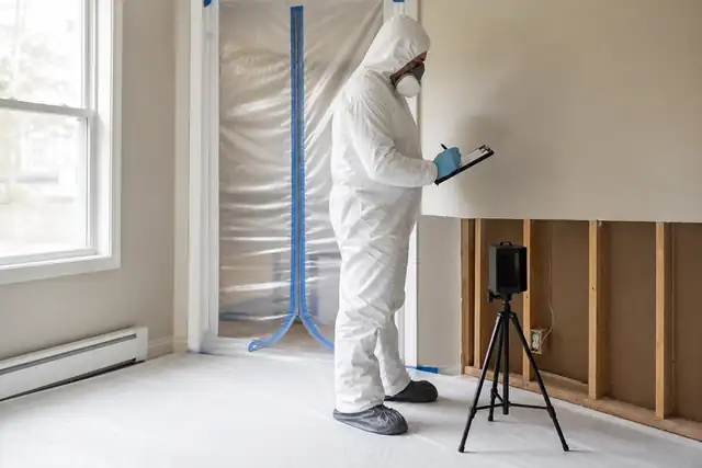 Mold Remediation service image